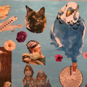 A collage with a plane, two birds, a cat, people wearing face masks and a portrait of a person.