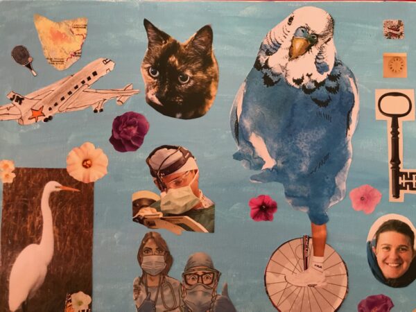 A collage with a plane, two birds, a cat, people wearing face masks and a portrait of a person.