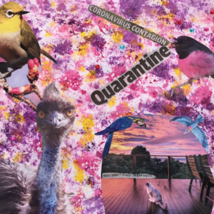 A collage with photos of an emu, four birds and a cat on a colourful background and the text "Coronavirus contagion" "Quarantine" "You won't find them here"