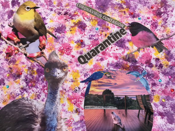 A collage with photos of an emu, four birds and a cat on a colourful background and the text "Coronavirus contagion" "Quarantine" "You won't find them here"