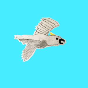 A drawing of a flying cockatoo bird on a bright light blue background.