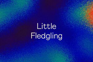 Little Fledgling