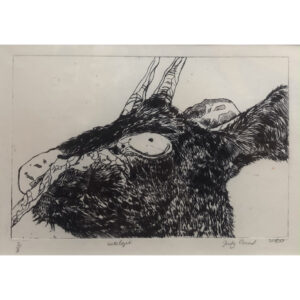 The head of an Antelope in black on off white paper