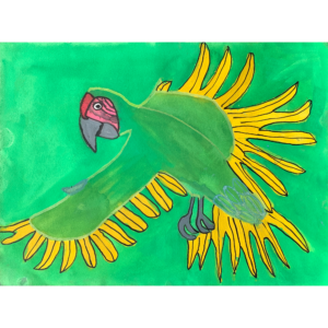 A green and yellow Macaw flying infront of a green background.