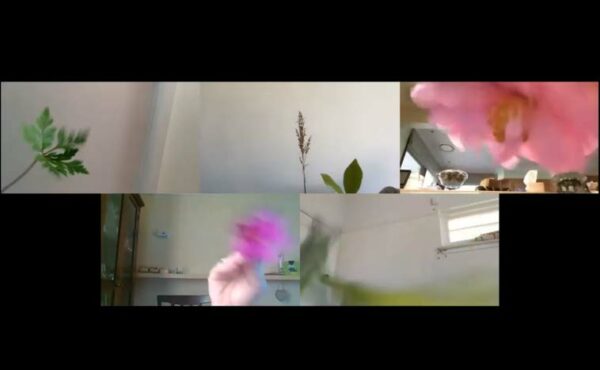 Flowers by Kirim Sarakbi and ADS