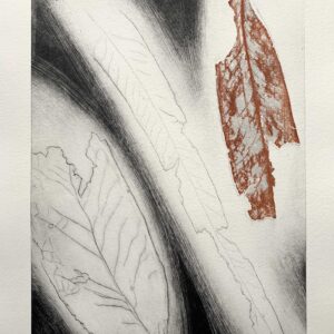 an rusty leaf is next to two other cream coloured leaves on a black and cream background