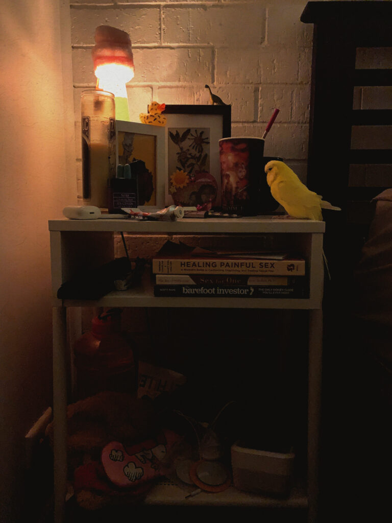 A photograph of the artist's bedside. The room is dark and there is a small lamp illuminating a white brick wall, some small framed artworks, a yellow bird, a foil tube of cream or ointment, an AirPods case and a scented candle. On the middle shelf of the bedside table, the spines of books are visible – 'Healing Painful Sex', 'Sex for One' and 'Barefoot Investor'. On the bottom shelf, a large water bottle, a tub and some heat packs or pads can faintly be seen