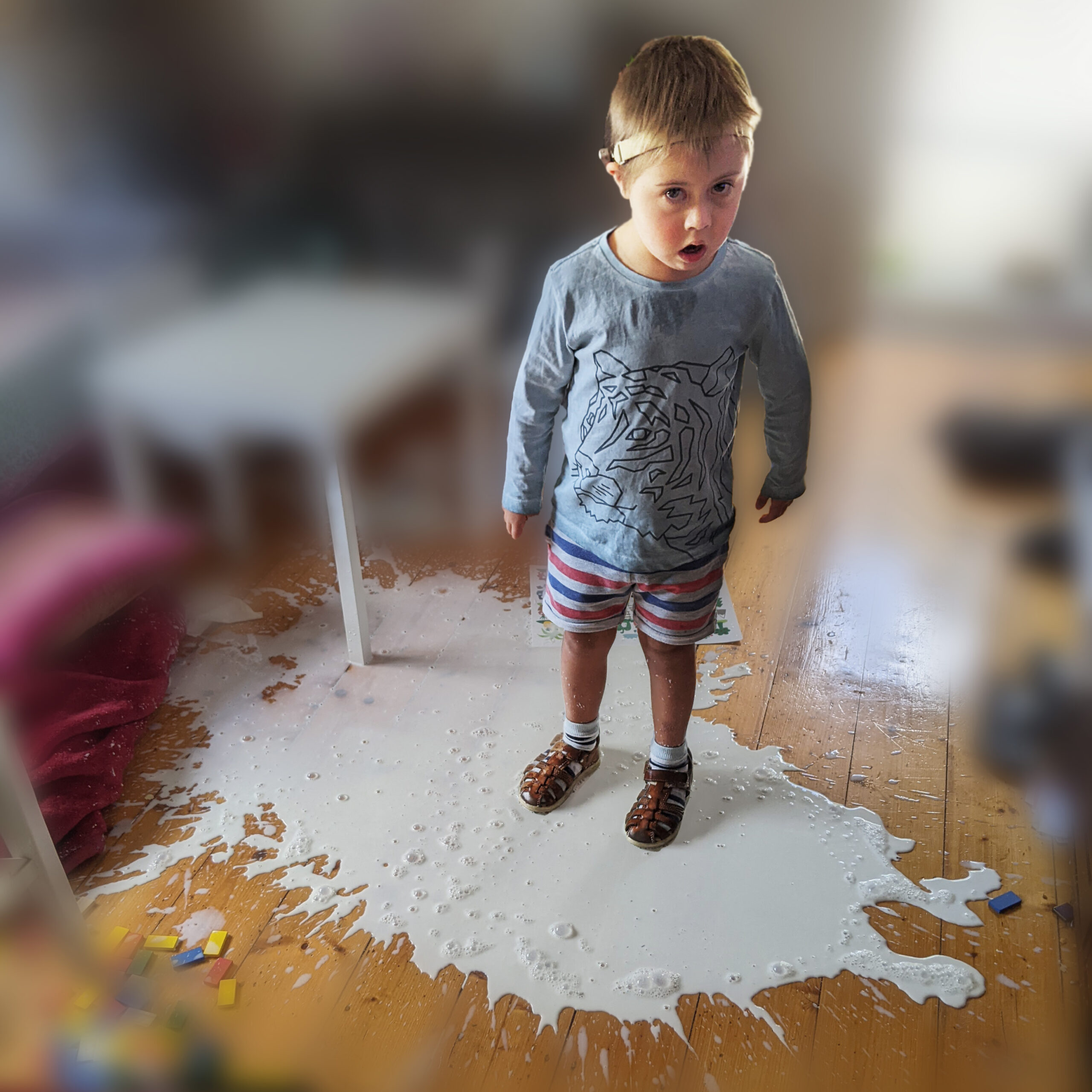 A young boy in a room standing in the middle of a spilled puddle of Milk. With a surprised expression on his face. The boy has a hearing aid on a band, a light blue top with a tiger outline print and a blue, red, and white striped shorts, white socks with brown leather sandals. The image of the room around the boy is blurred.