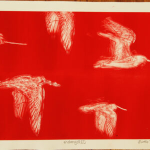 Birds in flight fly across a background of red in a print of an etching.