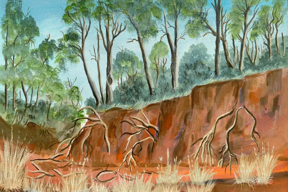 The Werribee Gorge, rich reds, browns and oranges create the gorge below, scattered bunches of yellow straw grass, dead tree branches hanging from the earth walls. Above are tall euculyptus trees, vibrant and green leaves contrasting the soft, blue sky.