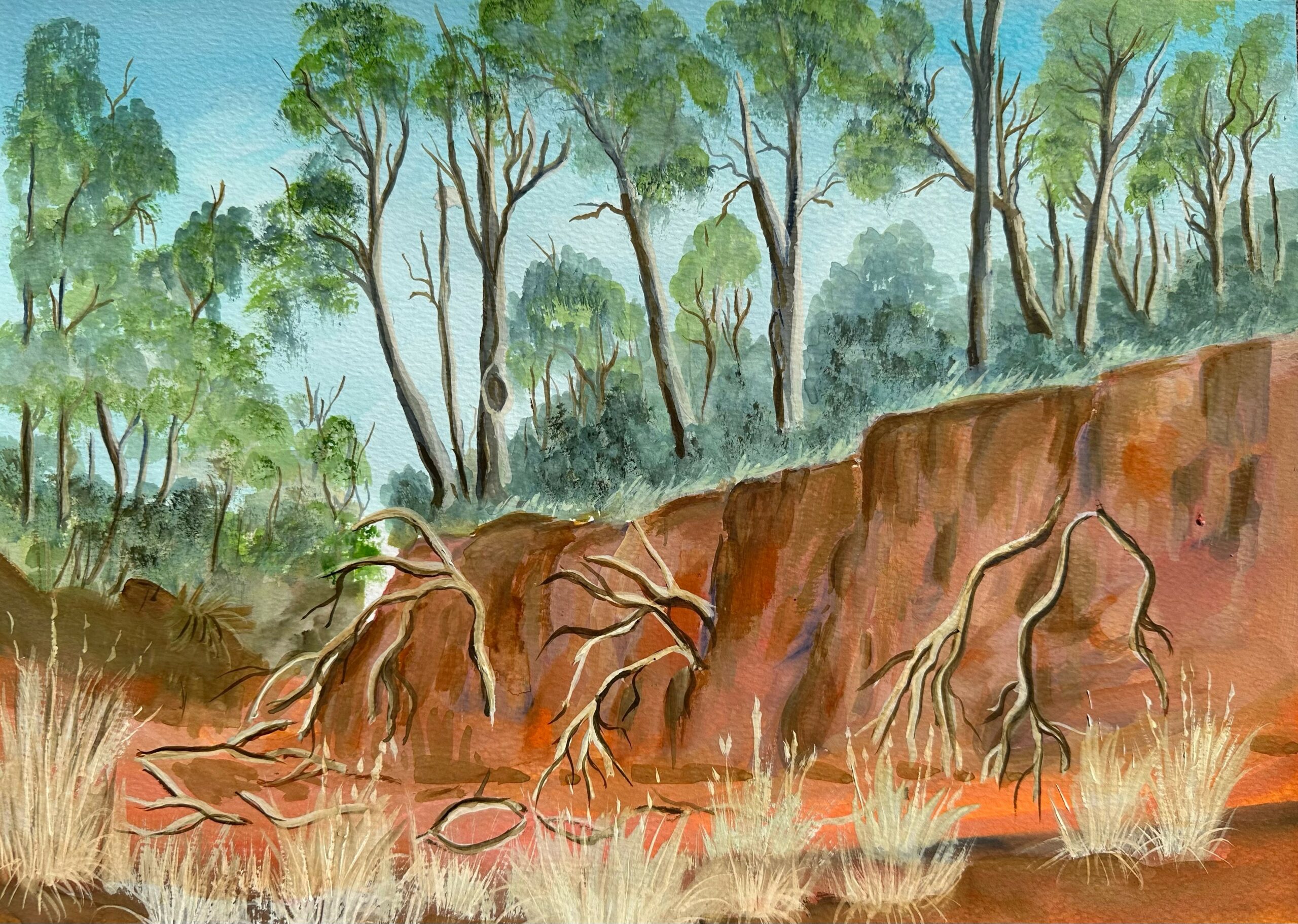 The Werribee Gorge, rich reds, browns and oranges create the gorge below, scattered bunches of yellow straw grass, dead tree branches hanging from the earth walls. Above are tall euculyptus trees, vibrant and green leaves contrasting the soft, blue sky.