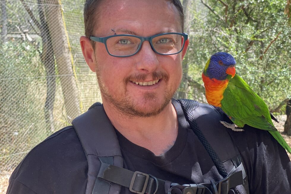 A white trans man wearing green glasses and black t-shirt looks at the camera.