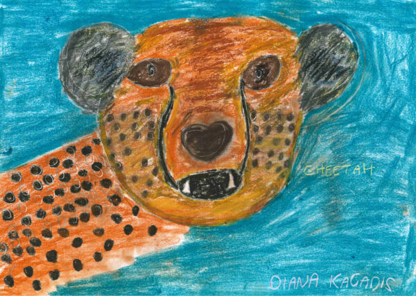 A pencil and pastel illustration of a cheetah. The cheetah’s head faces forward, baring its teeth, taking up most of the page. The background is a bright, teal blue.