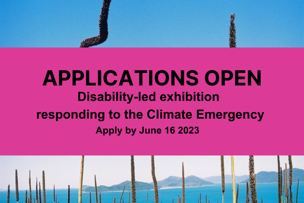 Applications open Disability and Climate Change Exhibition