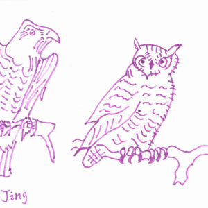 A line drawing of an eagle and an owl using purple texta. The birds are human’s best friends. 这幅老鹰和猫头鹰的画是用紫色水彩笔勾勒完成的。鸟是人类的好朋友