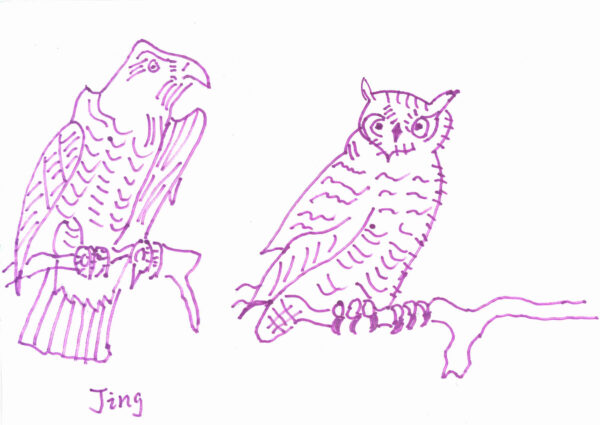 A line drawing of an eagle and an owl using purple texta. The birds are human’s best friends. 这幅老鹰和猫头鹰的画是用紫色水彩笔勾勒完成的。鸟是人类的好朋友