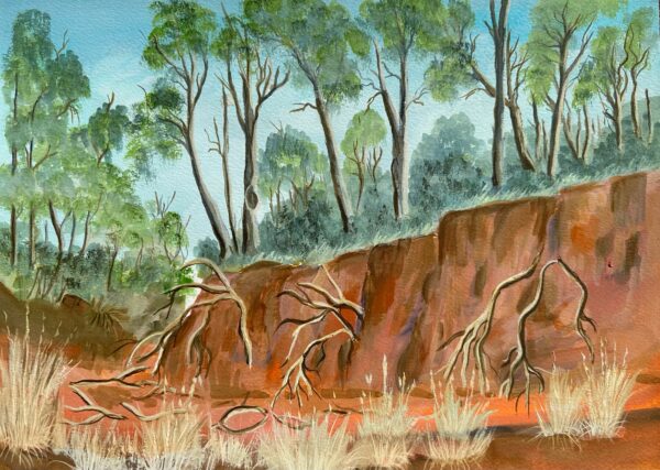 Landscape painting of Werribee Gorge. Tall gumtrees, with vibrant green leaves contrasting the soft, blue sky. grow on a cliff that is cut to show the tree roots. Rich reds, browns and oranges create the gorge below, scattered bunches of yellow straw grass, dead tree branches are hanging from the earth walls.