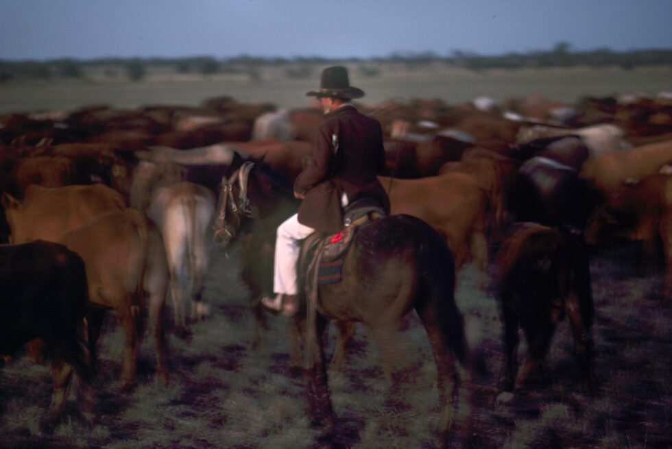 a man is on horseback surrounded by many houses.