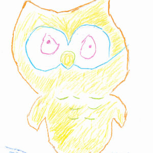 A yellow owl fills the page, its body coloured with short feather-like lines. Large eyes look forward, its small feet resting on a blue branch.