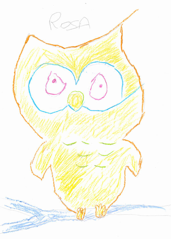 A yellow owl fills the page, its body coloured with short feather-like lines. Large eyes look forward, its small feet resting on a blue branch.