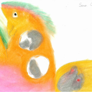 A bird-like creature form that covers almost half of the paper, its body of bright orange and pink with a green crest, prominent peak and eyes. Within the body are 3 egg-like cirlces with grey bird-like forms inside.