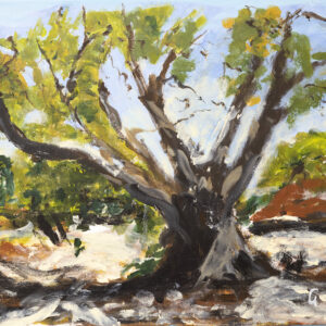 Painting of an old gum tree. Its grey branches stretch into the blue sky and sway in the breeze. The tree's thick trunk is deeply rooted and offers a cool shadow at its base.