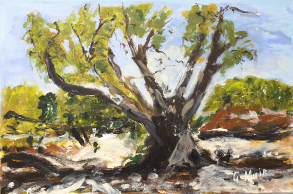 Painting of an old gum tree. Its grey branches stretch into the blue sky and sway in the breeze. The tree's thick trunk is deeply rooted and offers a cool shadow at its base.