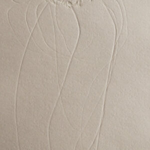 Thick, cream coloured with subtle detailed lines of varying thickness which form abstract looped complex organic forms.