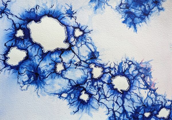 An ink painting on the diagonal with white uneven circles surrounded by dark blue outlines, connected to each other by root-like lines. The colours fade away from the circle forms.