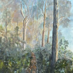 A pathway through the Australian bush