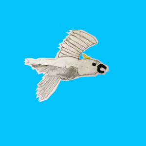 A hand-illustrated cockatoo flies against a bright blue background