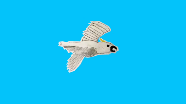 A hand-illustrated cockatoo flies against a bright blue background
