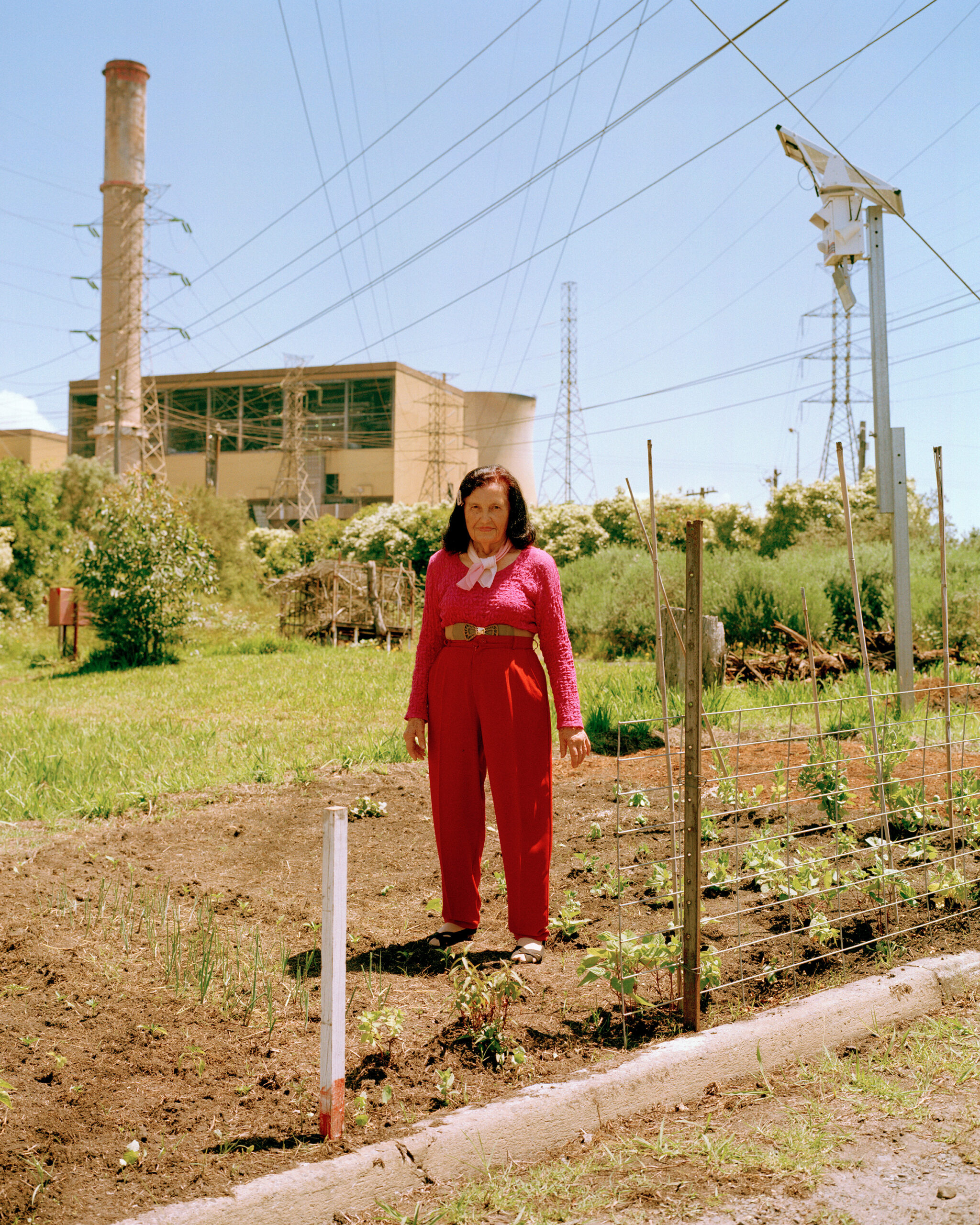 An elderly woman wearing a bright pink long sleeve top and red trousers standing in a patch of land. On her left, there are newly growing plants. There are trees on a green patch of grass behind her, surrounded by power line towers in front of a power station.