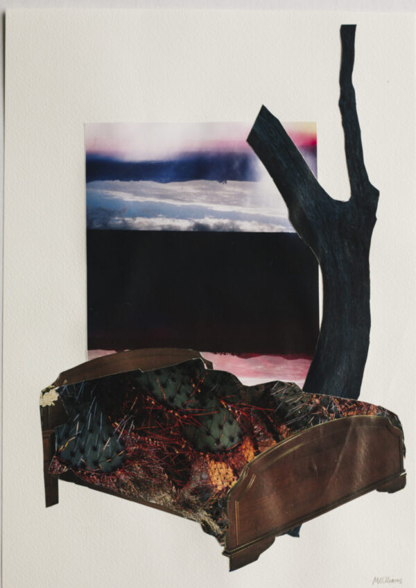 In the background is a photograph of sunset reflected in water. There is a stark blue-black tree and a bed in the foreground. The blankets of the bed have been replaced with an image of some cacti.