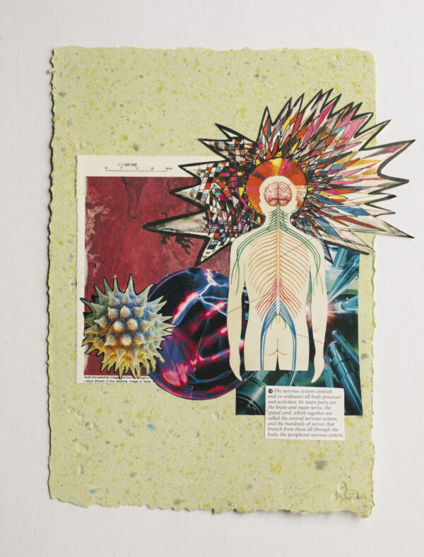 A diagram of the nervous system stands in front of a large abstract explosive piece behind their head. In the background are two abstract images, one pink and one blue. On top of this are a photo of a plasma ball and a spiky pollen.