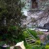 A metal ladder sitting amongst an overgrown garden with broken bricks in the foreground