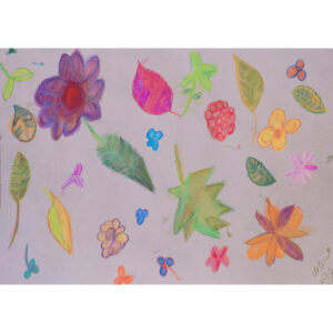 Autumn leaves and flowers