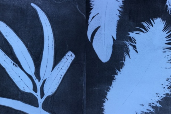 A dark blue print presenting impressions of feathers and gum leaves