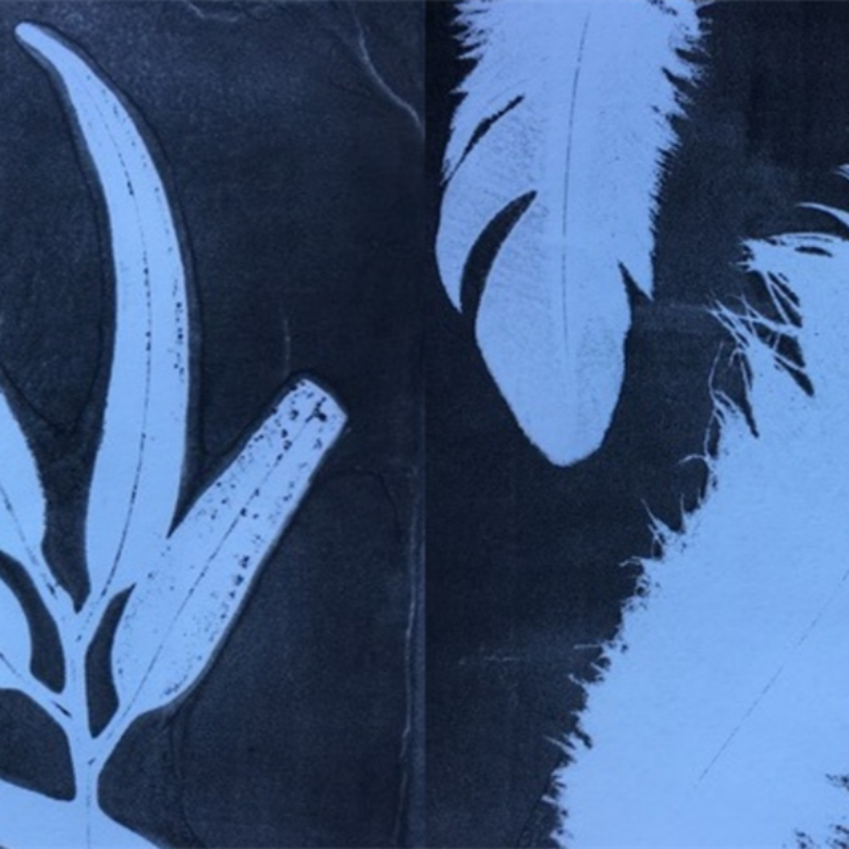 A dark blue print presenting impressions of feathers and gum leaves