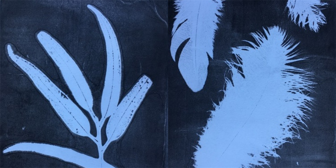 A dark blue print presenting impressions of feathers and gum leaves