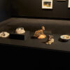 Lisa Pownall - Image 2